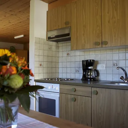 Apartment Ferienwohnung Pitsch